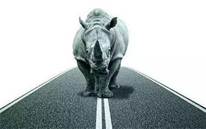 臣通觀點(diǎn)丨小心，中國產(chǎn)業(yè)園區(qū)的“灰犀牛”又來了！